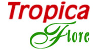 tropicaflore